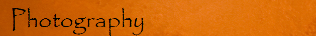 Photography